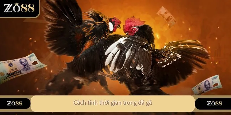 Đá Gà ZO88 - Thiên Đường Đối Với Anh Em Yêu Thích Đá Gà