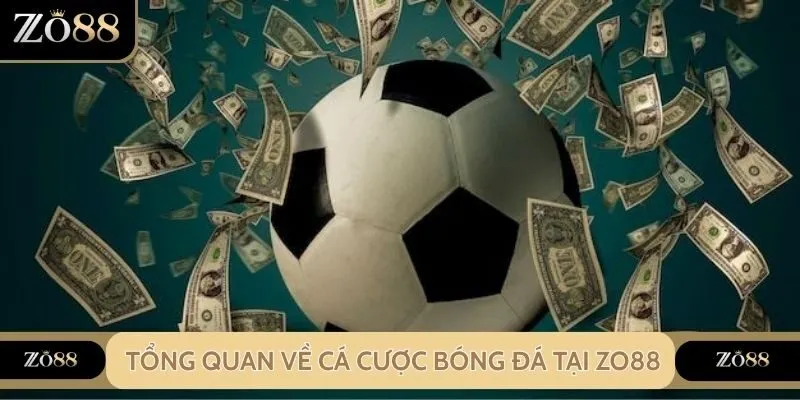 Cá Cược Bóng Đá Zo88 - Sân Chơi Thể Thao Đỉnh Cao